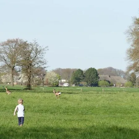 Alpakablick Hamminkeln
