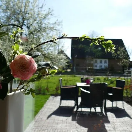 Alpakablick Apartment *